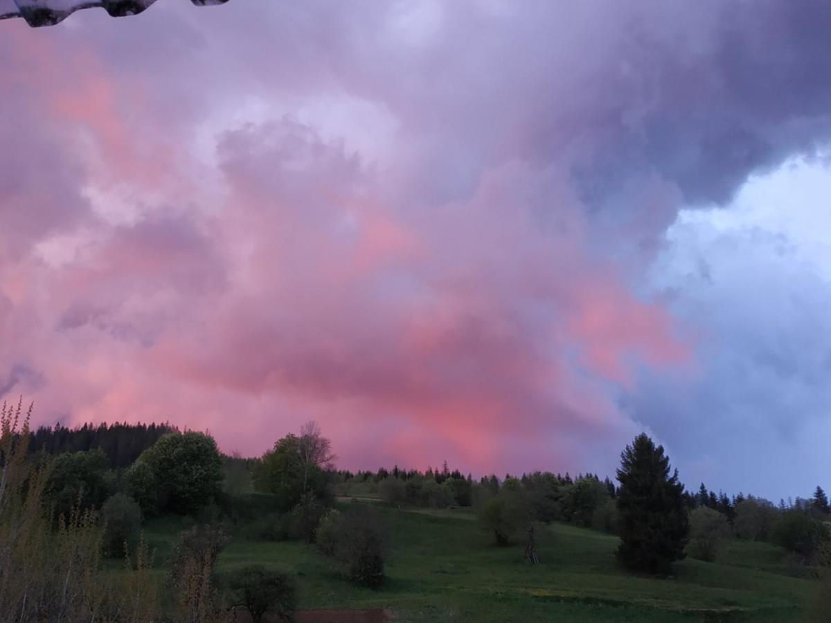 Біля Витягу Slavske Bagian luar foto
