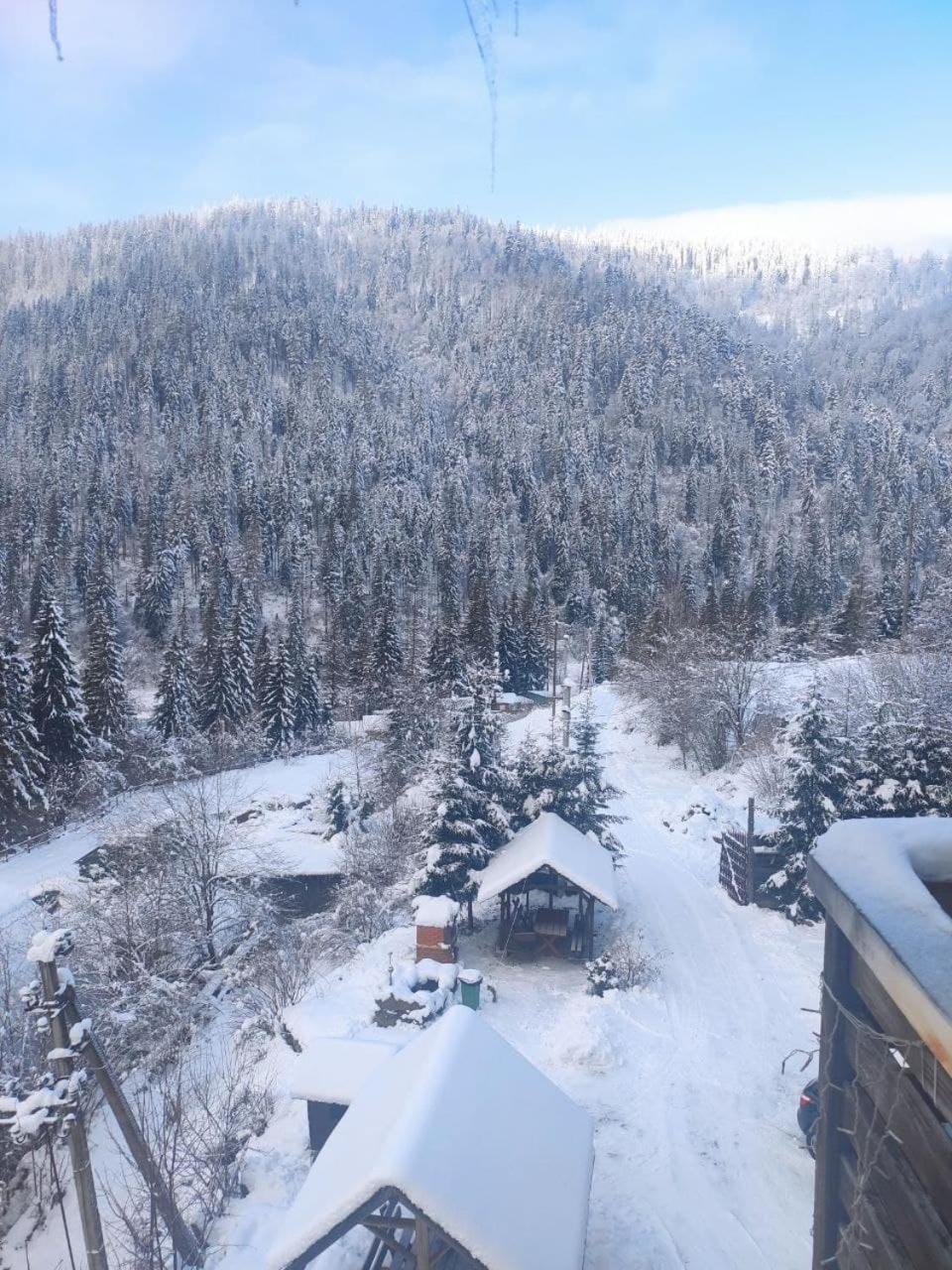 Біля Витягу Slavske Ruang foto
